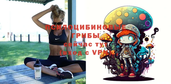 mix Арсеньев
