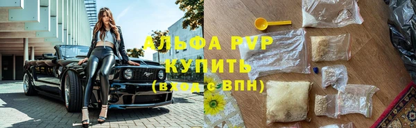 крисы Аркадак
