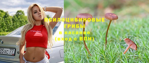 крисы Аркадак