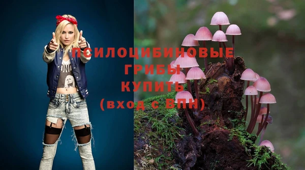 крисы Аркадак