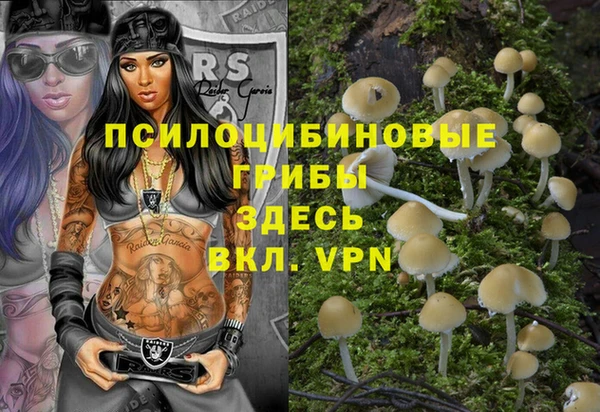 крисы Аркадак