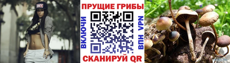 купить наркотики сайты  ссылка на мегу ССЫЛКА  Галлюциногенные грибы Psilocybe  Усолье-Сибирское 